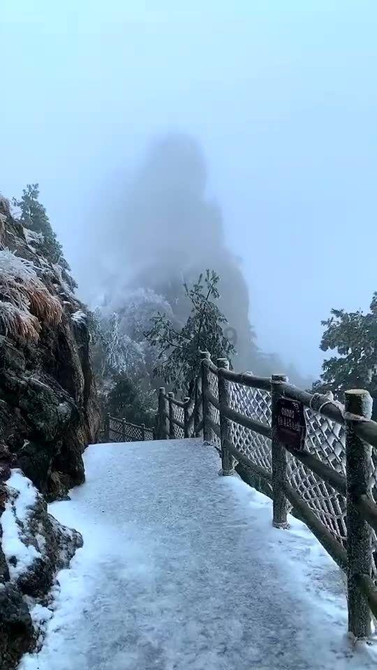 万词王