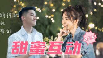 眼镜蛇秘密行动