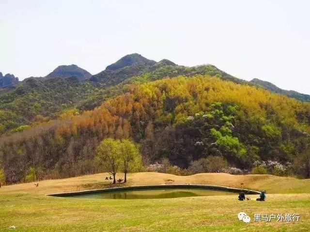 石油骚动