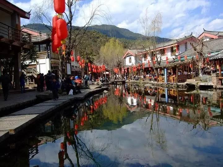 悲伤兔大冒险